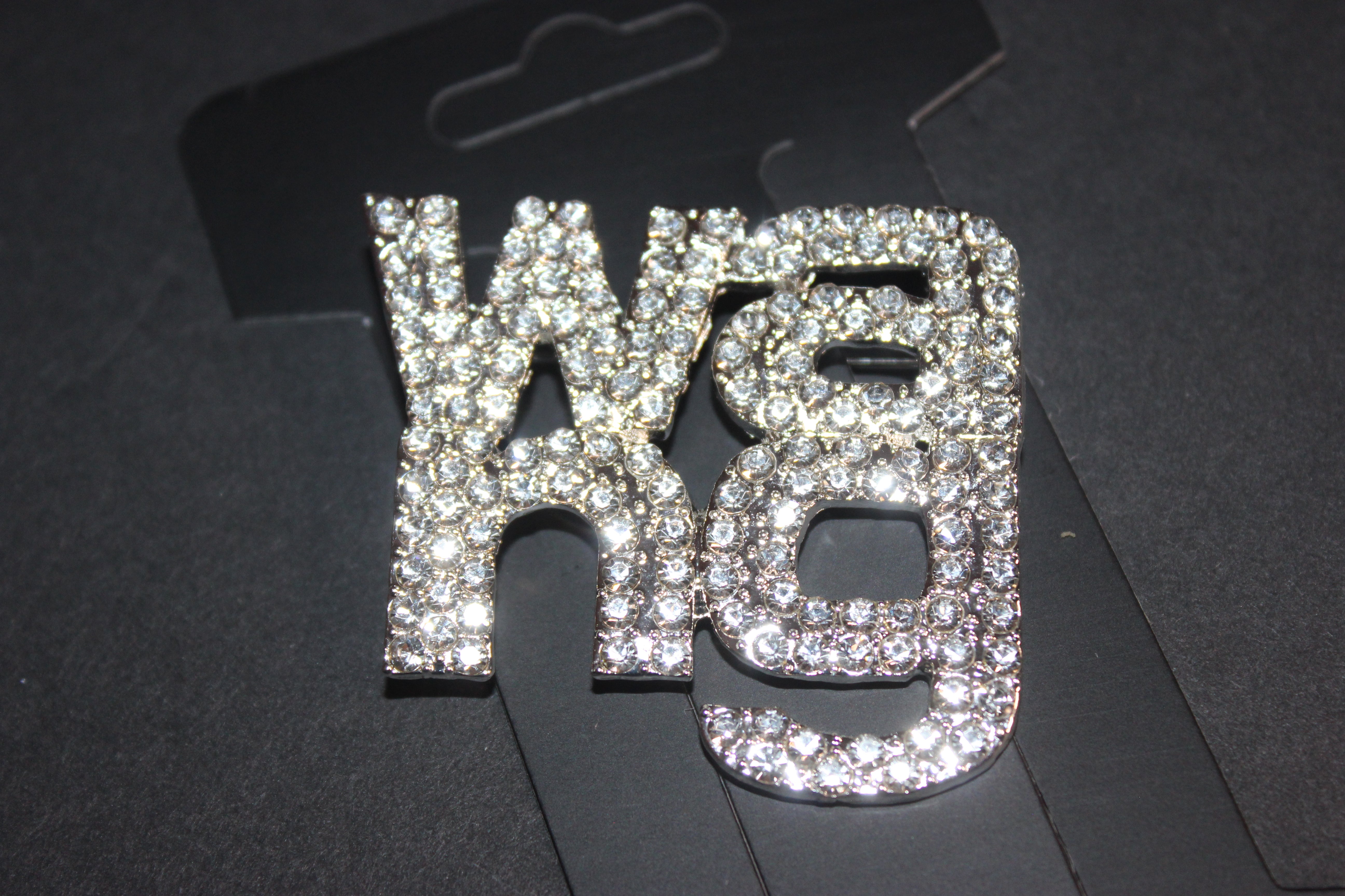 Silver Rhinestone Brooch Pin